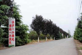 東明村[廣東省潮州市潮安區歸湖鎮下轄村]