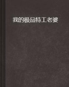 我的極品特工老婆 我的極品特工老婆