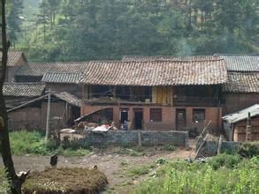 色色柱槽子頭村 色色柱槽子頭村