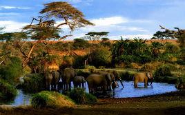 姆考馬子國家公園 姆考馬子國家公園