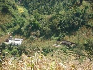 揚門五地自然村 揚門五地自然村