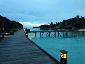 薇莉甘杜島 薇莉甘杜島