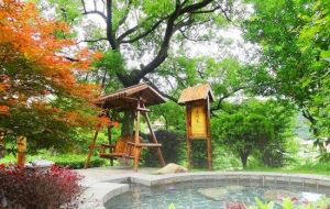 瀏陽飛天溫泉度假區 瀏陽飛天溫泉度假區