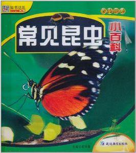 知書達禮·學轉地球:常見昆蟲小百科 知書達禮·學轉地球:常見昆蟲小百科