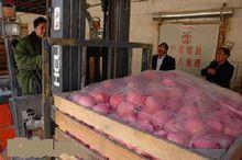 保鮮庫工作畫面