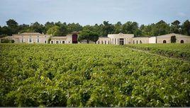 騎士酒莊 騎士酒莊