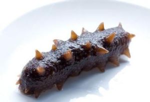 芝麻海參排 芝麻海參排