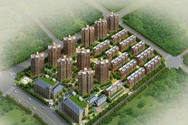 龍橋新園 龍橋新園