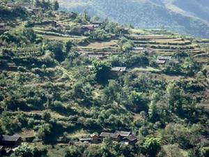 福祿村[大東鄉大東村委會下轄村]