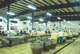 沈丘縣產業集聚區 沈丘縣產業集聚區