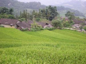 茅壩子村 茅壩子村