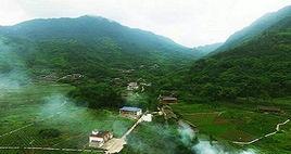 代河村[四川省雅安市雨城區宴場鎮代河村]