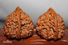 官帽--文玩核桃