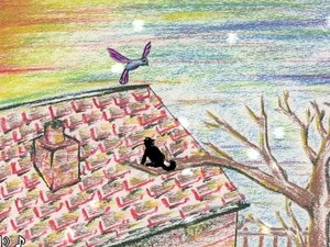 小黑貓貪玩記 小黑貓貪玩記