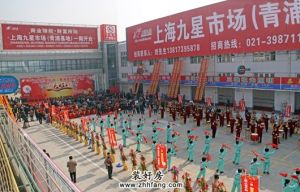 上海青浦九星市場開業圖片