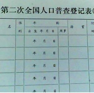 第二次全國人口普查 第二次全國人口普查