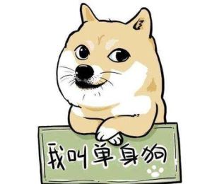 大齡未婚青年 大齡未婚青年