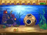 怪怪水族箱 怪怪水族箱