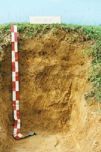 河床沖積物 河床沖積物