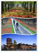 新橋鎮[江蘇江陰市轄鎮]