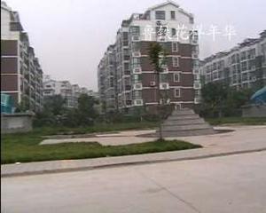 魯鐵花樣年華 魯鐵花樣年華