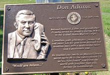 位於好萊塢的墓碑特寫