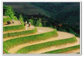 集體所有制 集體所有制