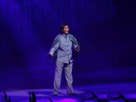 大漠紅柳 大漠紅柳