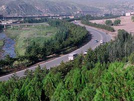 太原市康培園林綠化工程有限公司 太原市康培園林綠化工程有限公司