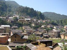 蘿蔔地村[雲南紅河州金平縣馬鞍底鄉普瑪行政村下轄村]