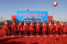 榆江公路(榆樹段)