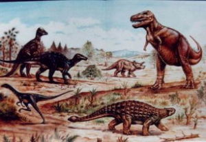 華夏期地窪區 華夏期地窪區