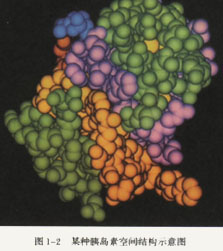 試驗選修本 試驗選修本