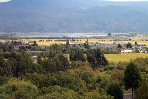 西中村委會 西中村委會