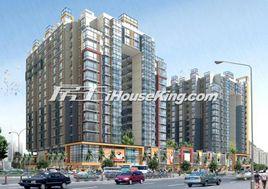 東莞金莎 東莞金莎