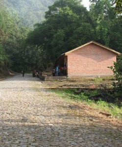 力所茶廠村 力所茶廠村