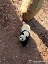 贛州森林動物園