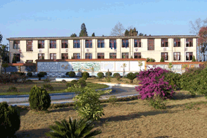 花園,後面教學樓