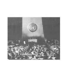 聯合國憲章日大會