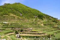 皖南丘陵山地 皖南丘陵山地