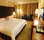 拉薩民族飯店 拉薩民族飯店