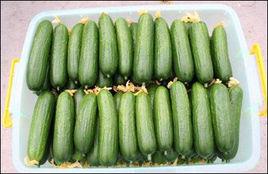 頂花帶刺 頂花帶刺