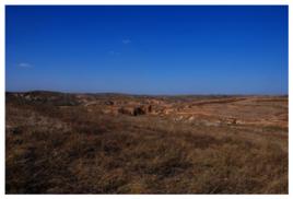 朱開溝文化 朱開溝文化