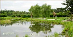 黑龍江省森林植物園