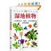 《濕地植物》 《濕地植物》