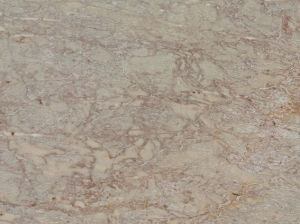 金玉幻彩 | Golden Cloud |