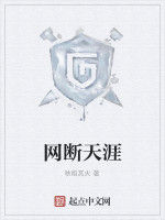 網斷天涯 網斷天涯