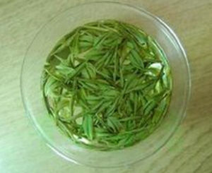 東白春芽茶 東白春芽茶