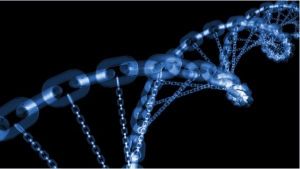 用進廢退學說 用進廢退學說