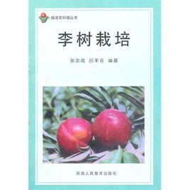 李樹栽培 李樹栽培